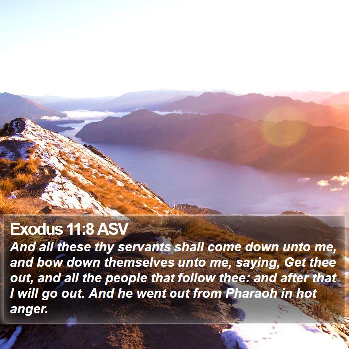 Exodus 11:8 ASV Bible Study