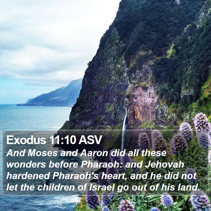 Exodus 11:10 ASV Bible Study