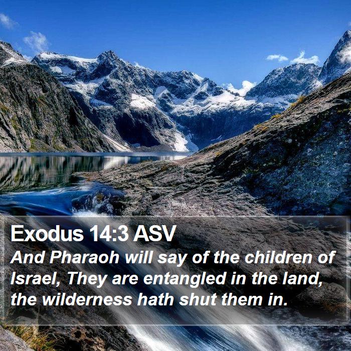 Exodus 14:3 ASV Bible Study