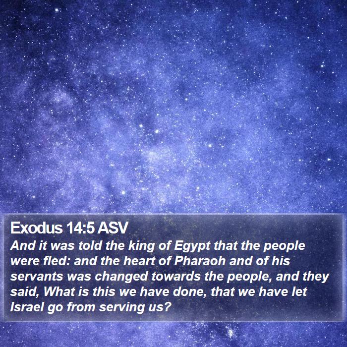 Exodus 14:5 ASV Bible Study