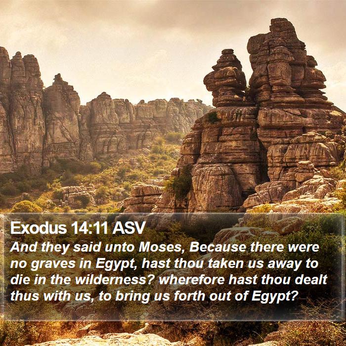 Exodus 14:11 ASV Bible Study