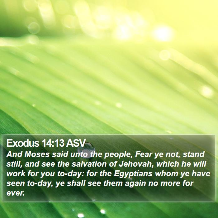 Exodus 14:13 ASV Bible Study