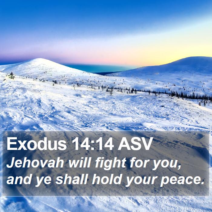 Exodus 14:14 ASV Bible Study