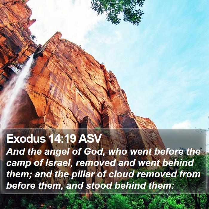 Exodus 14:19 ASV Bible Study