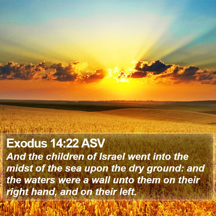 Exodus 14:22 ASV Bible Study