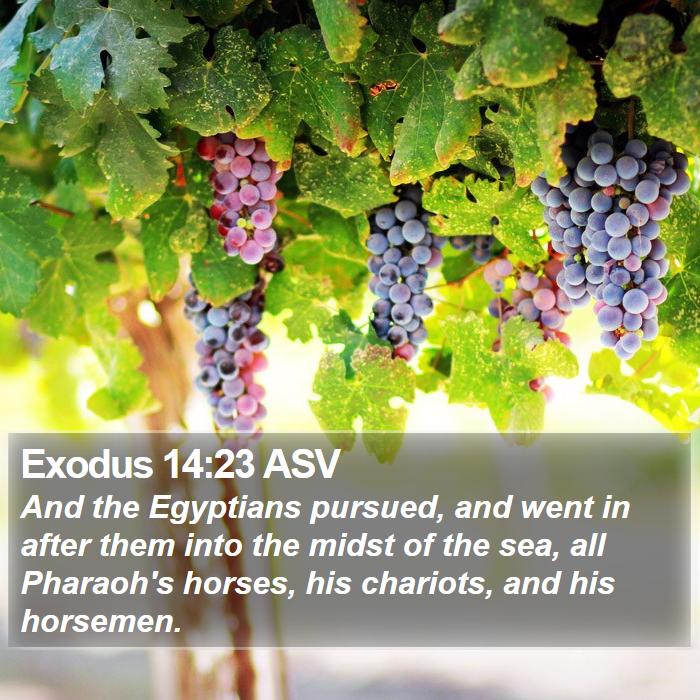 Exodus 14:23 ASV Bible Study