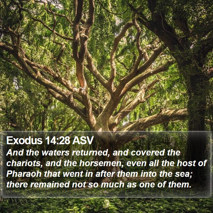 Exodus 14:28 ASV Bible Study