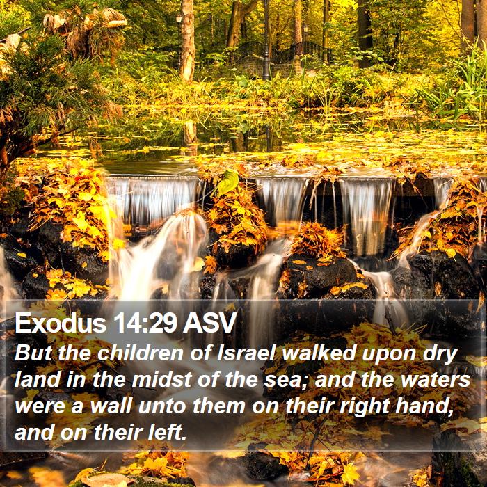 Exodus 14:29 ASV Bible Study