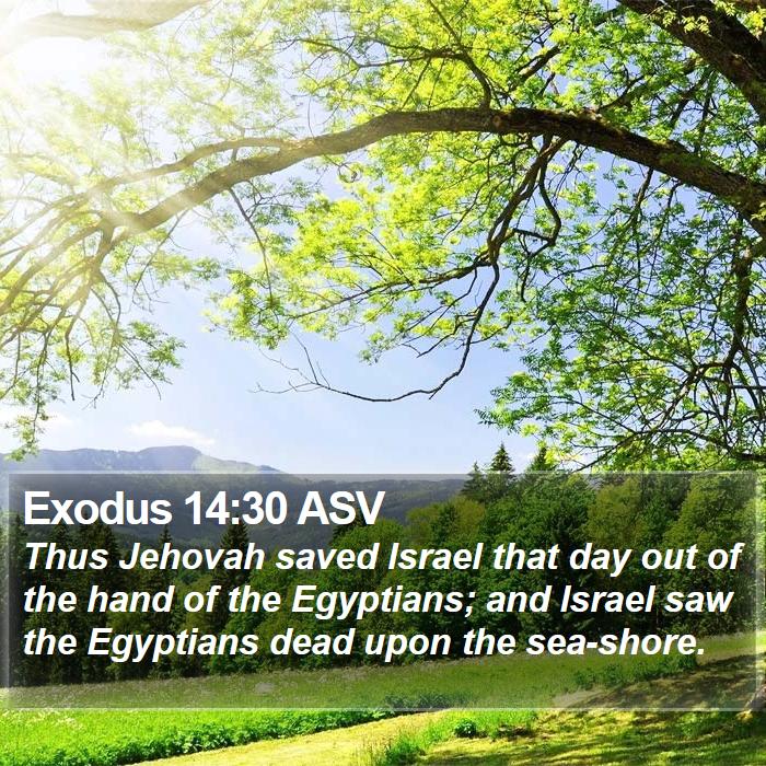 Exodus 14:30 ASV Bible Study