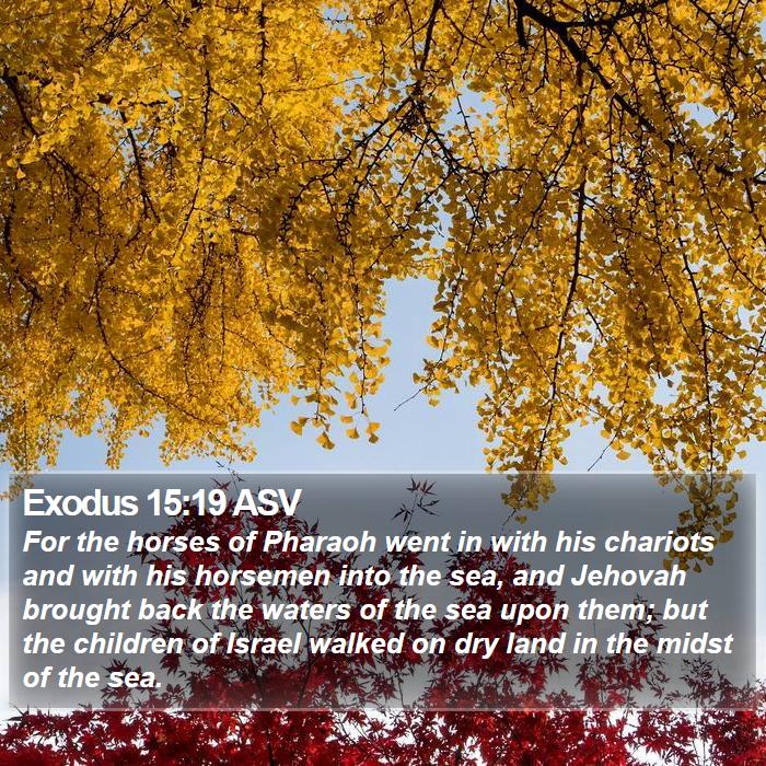 Exodus 15:19 ASV Bible Study