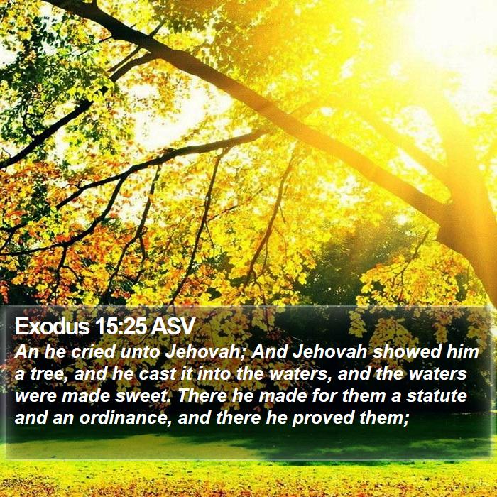 Exodus 15:25 ASV Bible Study