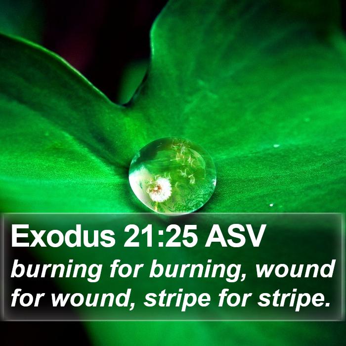 Exodus 21:25 ASV Bible Study