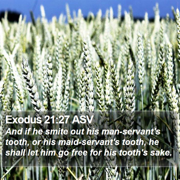 Exodus 21:27 ASV Bible Study