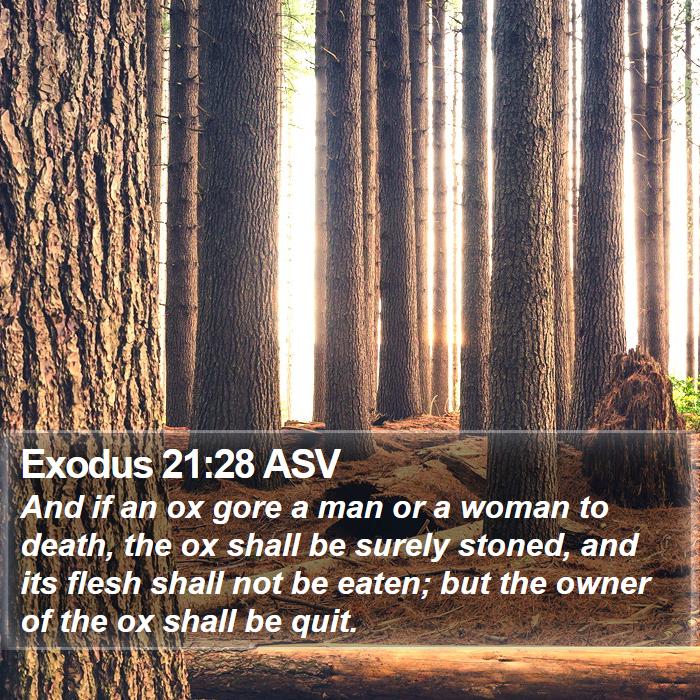 Exodus 21:28 ASV Bible Study