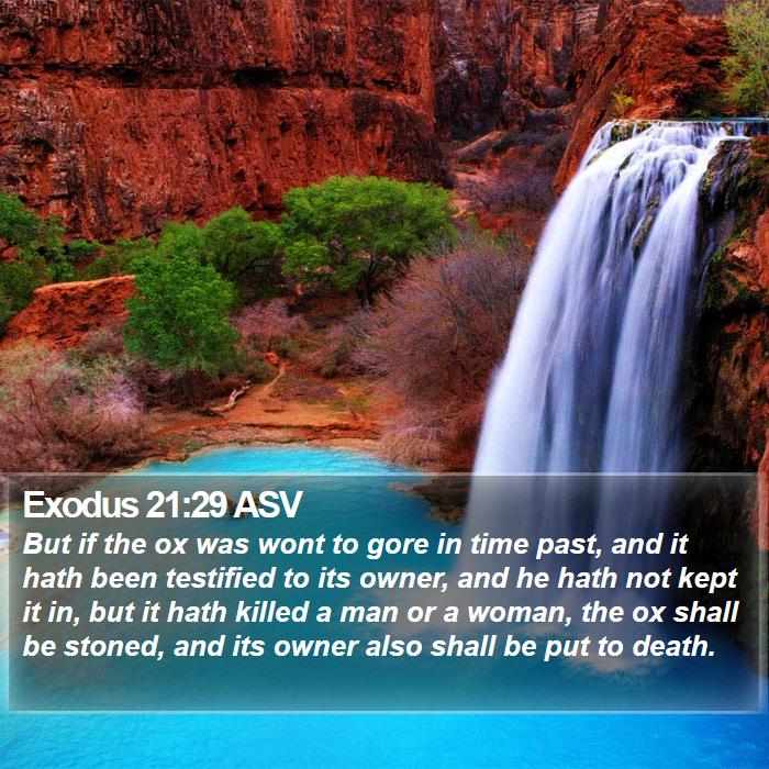 Exodus 21:29 ASV Bible Study