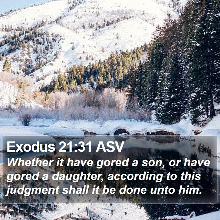 Exodus 21:31 ASV Bible Study