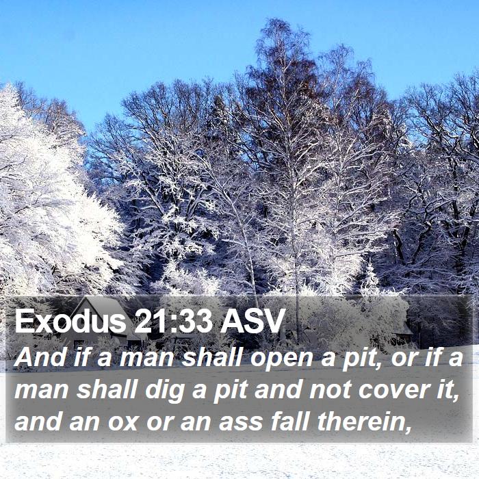 Exodus 21:33 ASV Bible Study