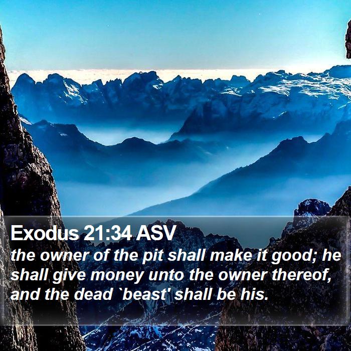 Exodus 21:34 ASV Bible Study