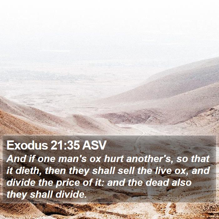 Exodus 21:35 ASV Bible Study