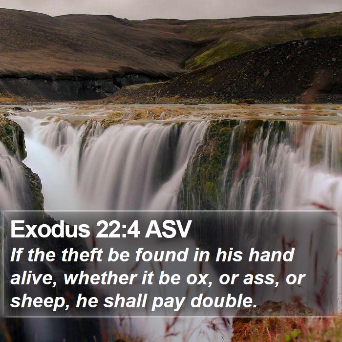 Exodus 22:4 ASV Bible Study