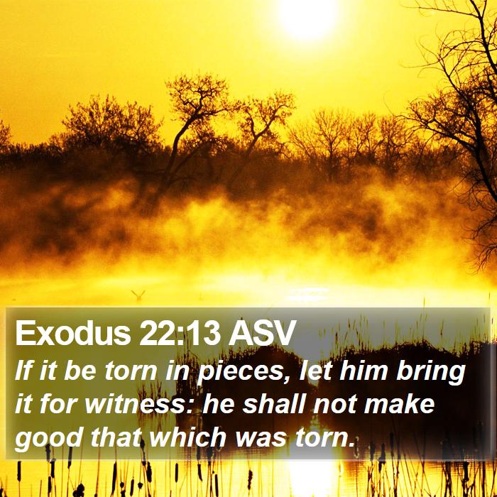 Exodus 22:13 ASV Bible Study