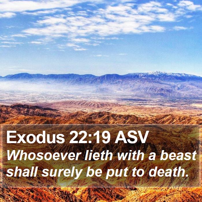 Exodus 22:19 ASV Bible Study