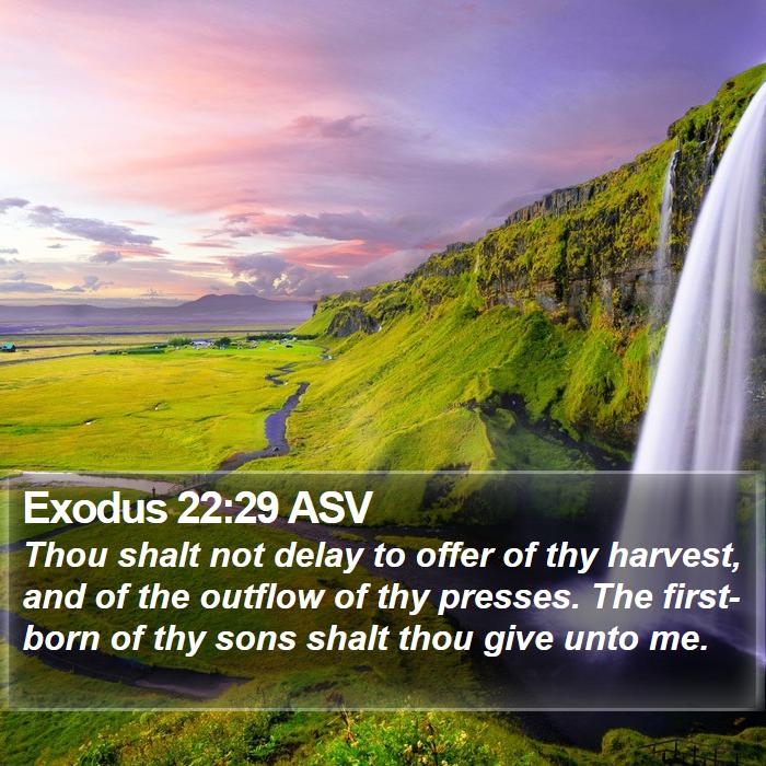 Exodus 22:29 ASV Bible Study