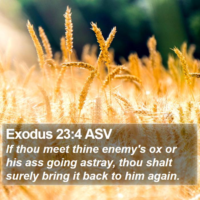 Exodus 23:4 ASV Bible Study