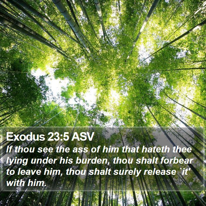 Exodus 23:5 ASV Bible Study