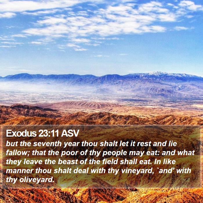 Exodus 23:11 ASV Bible Study