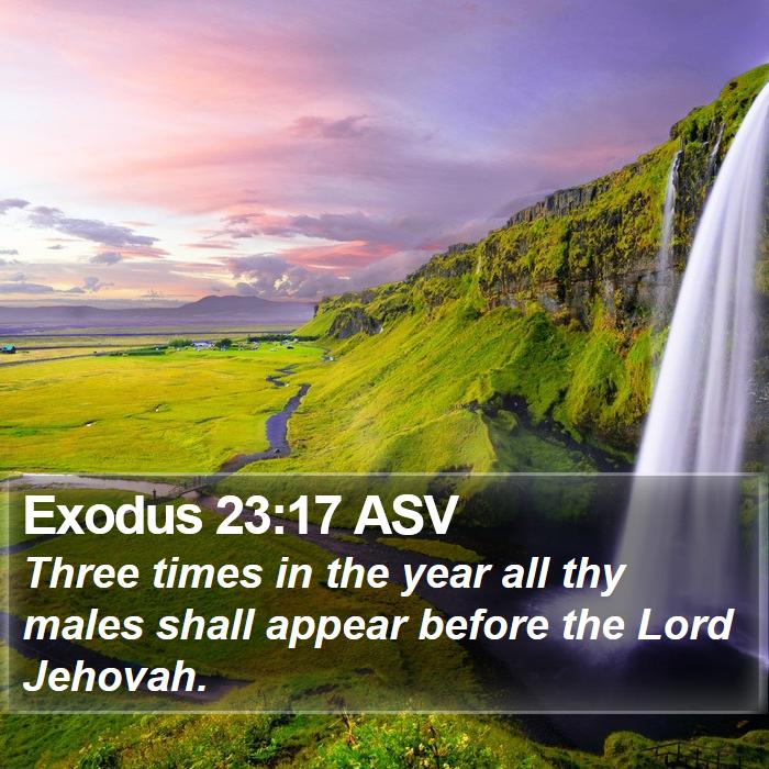 Exodus 23:17 ASV Bible Study