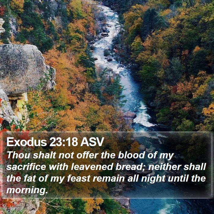 Exodus 23:18 ASV Bible Study