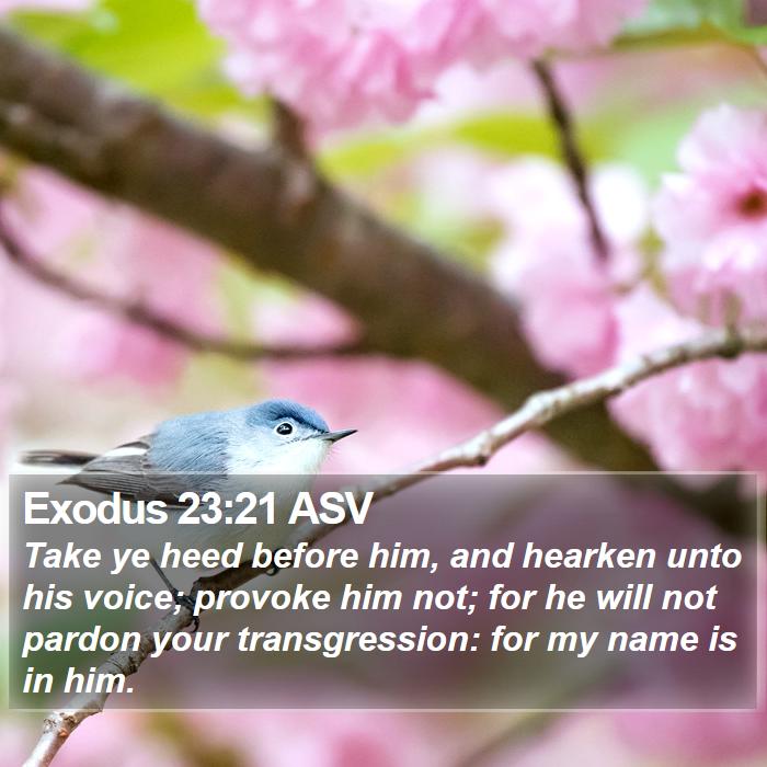 Exodus 23:21 ASV Bible Study