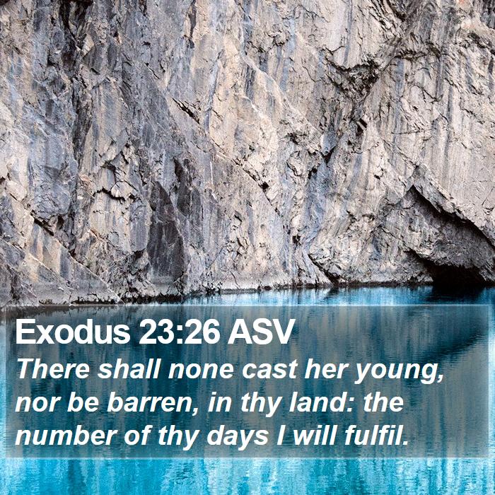 Exodus 23:26 ASV Bible Study