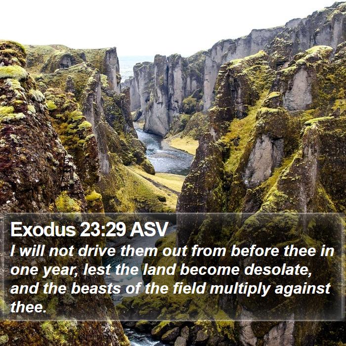 Exodus 23:29 ASV Bible Study