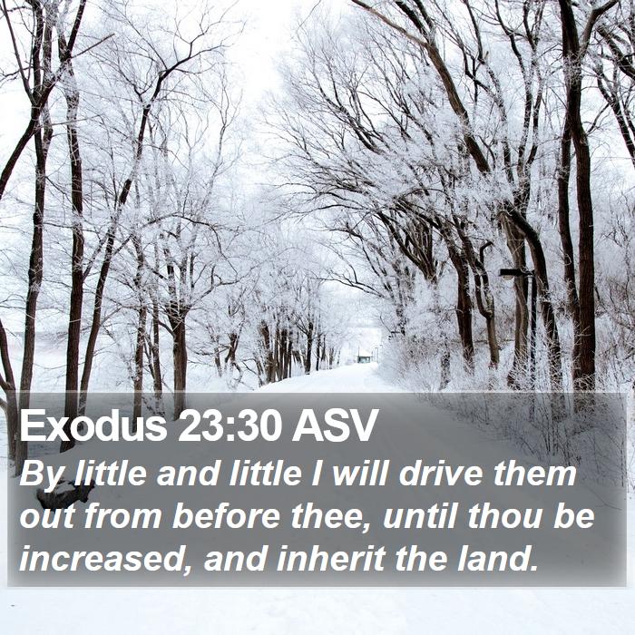 Exodus 23:30 ASV Bible Study