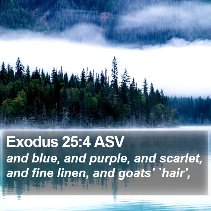 Exodus 25:4 ASV Bible Study