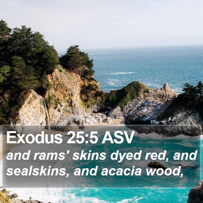 Exodus 25:5 ASV Bible Study