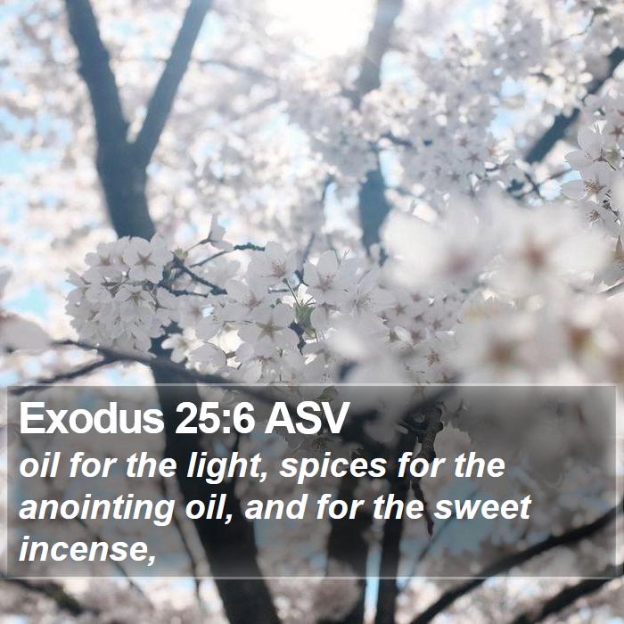 Exodus 25:6 ASV Bible Study