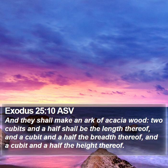 Exodus 25:10 ASV Bible Study