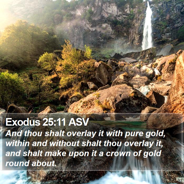 Exodus 25:11 ASV Bible Study