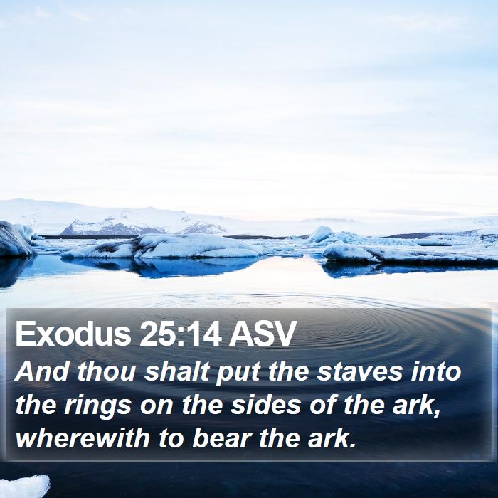 Exodus 25:14 ASV Bible Study