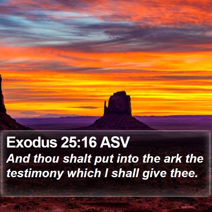 Exodus 25:16 ASV Bible Study