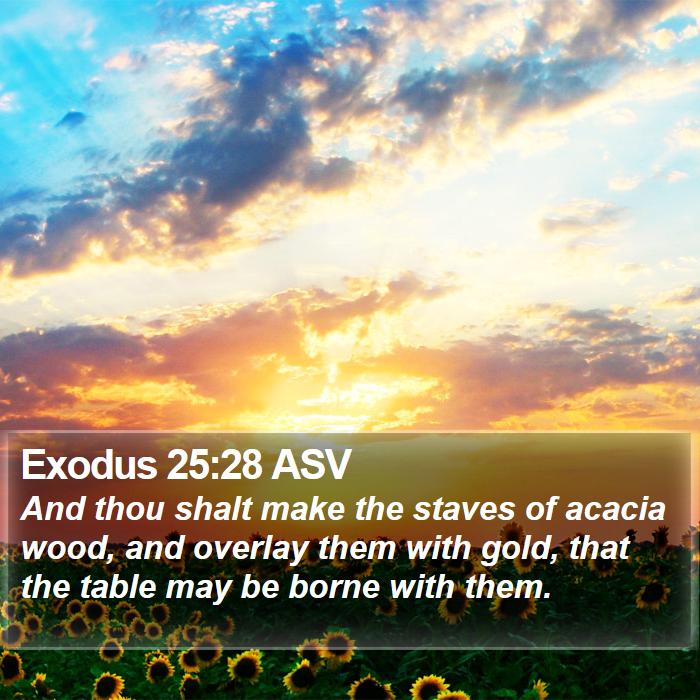 Exodus 25:28 ASV Bible Study