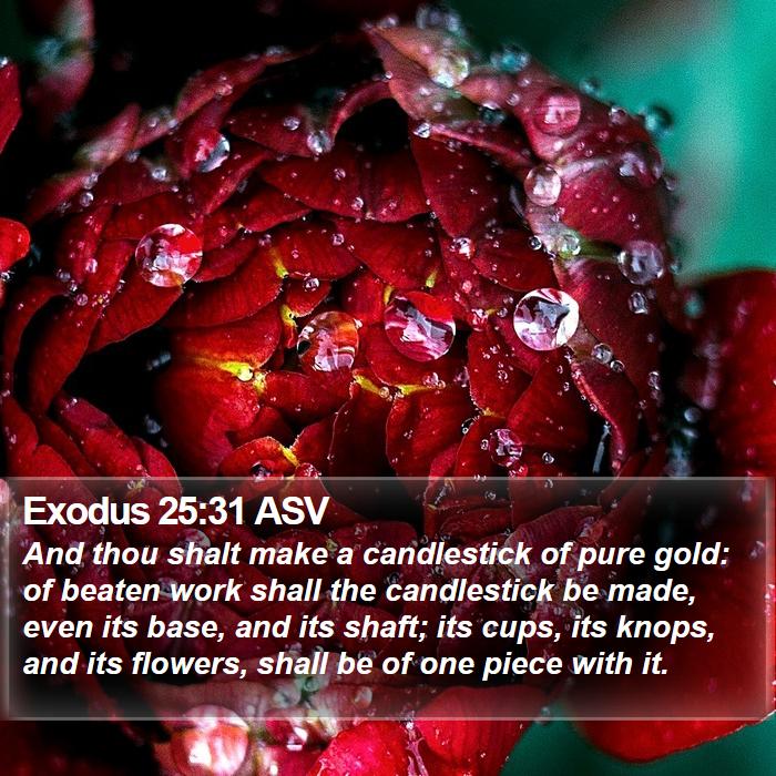 Exodus 25:31 ASV Bible Study