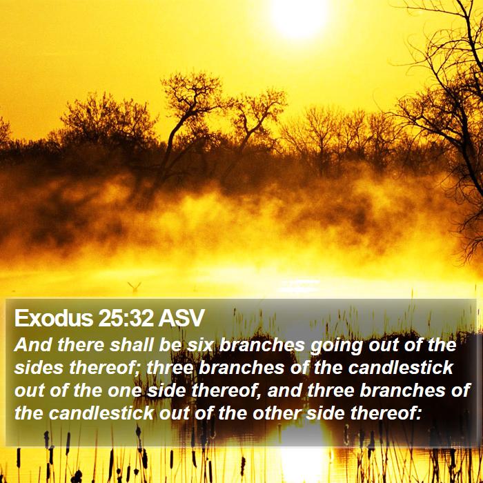 Exodus 25:32 ASV Bible Study