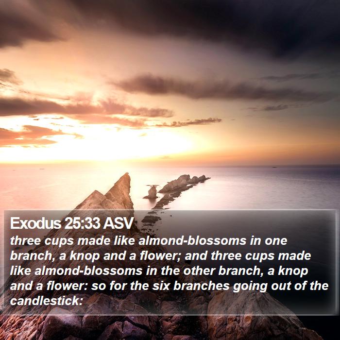 Exodus 25:33 ASV Bible Study