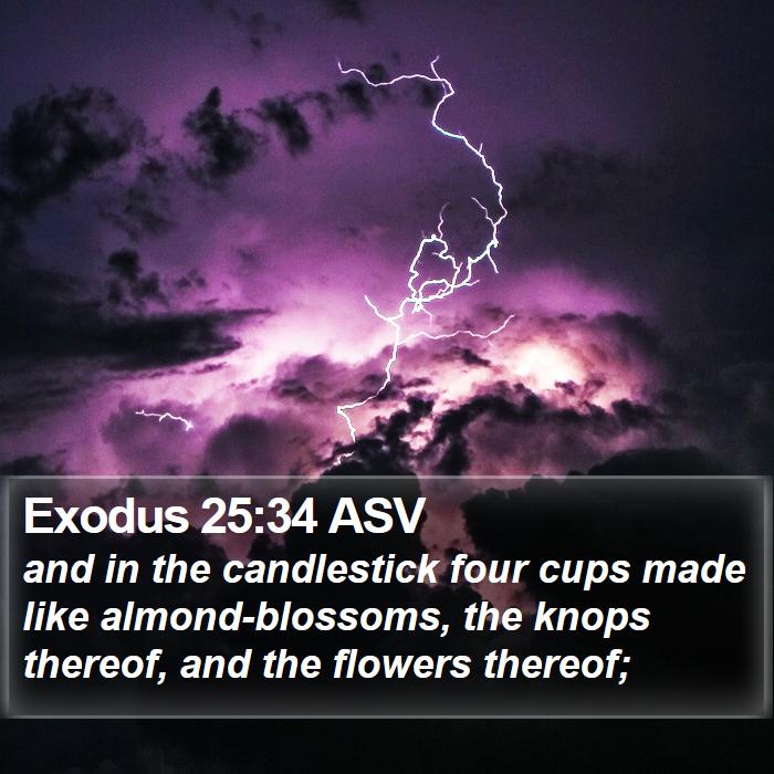 Exodus 25:34 ASV Bible Study