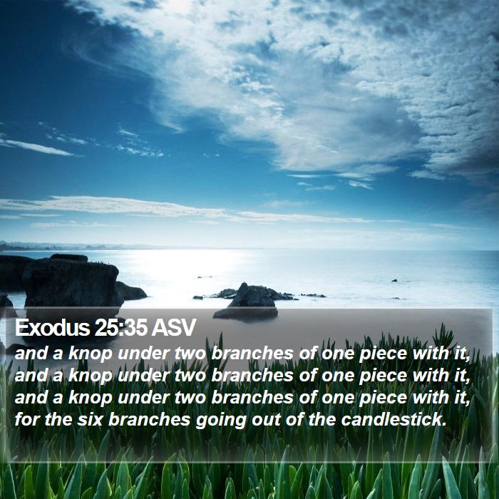 Exodus 25:35 ASV Bible Study