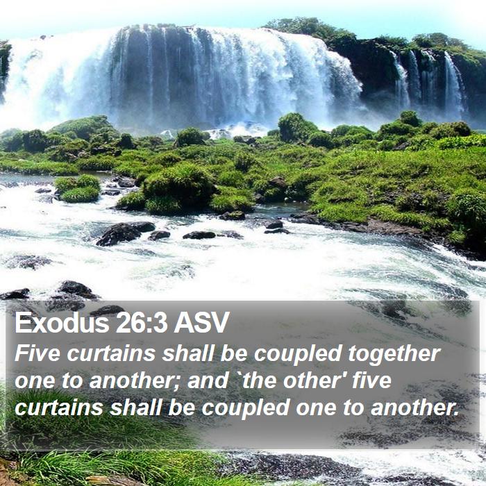 Exodus 26:3 ASV Bible Study